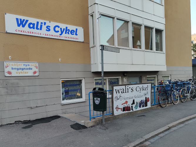 Wali